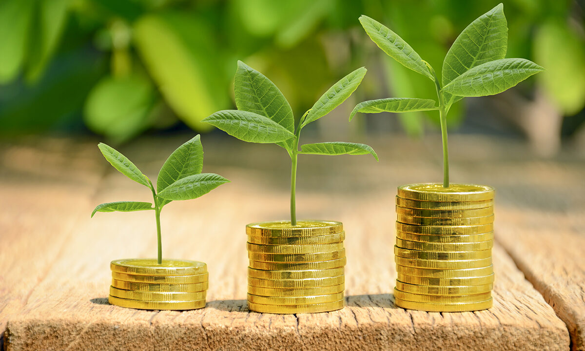 Investir 5 € par jour